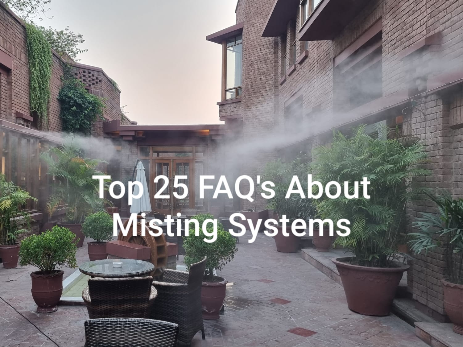 Top Frequently Asked Questions Misting System Avesfog