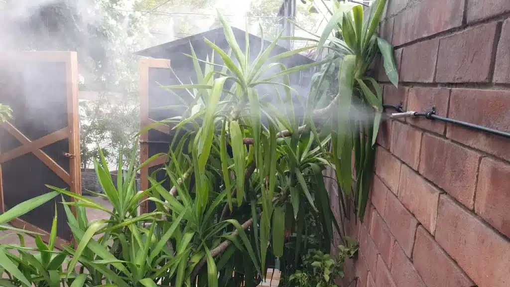 Control over flying insects