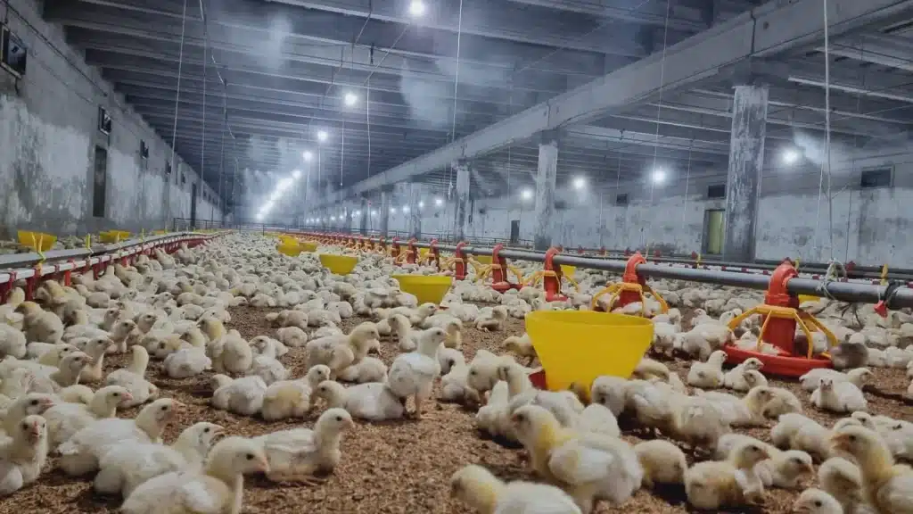 Evapouration cooling pads